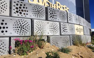 Buginn bijenhotel betonmuur